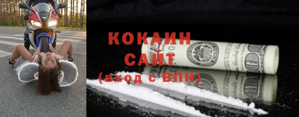 шишки Заволжск
