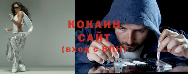шишки Заволжск