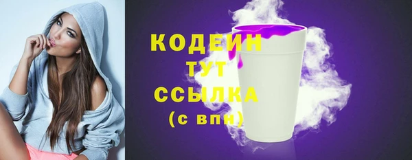шишки Заволжск