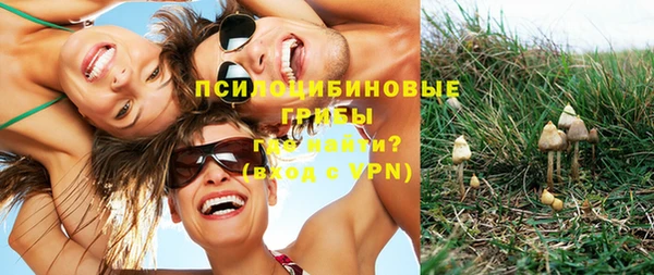 шишки Заволжск