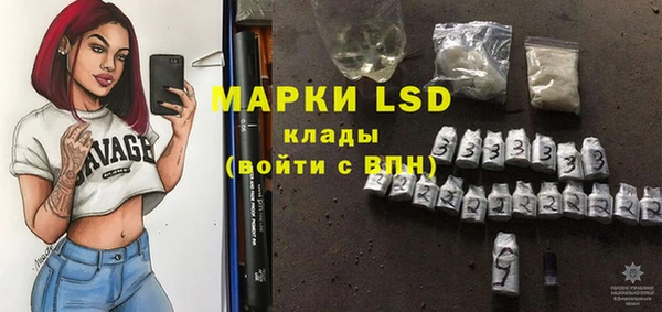 шишки Заволжск