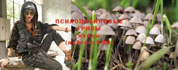 винт Заволжье