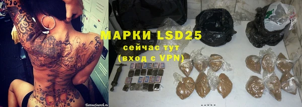 шишки Заволжск