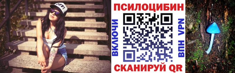 Галлюциногенные грибы мицелий  Купить закладки  Кольчугино 